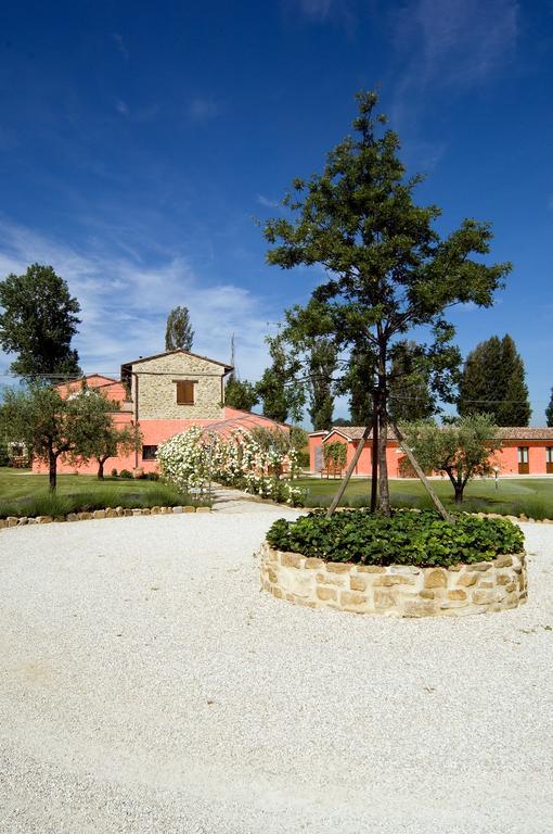 Agriturismo Casale Le Selvette Ripa Exterior foto
