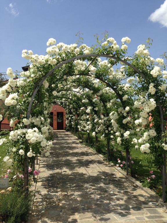 Agriturismo Casale Le Selvette Ripa Exterior foto