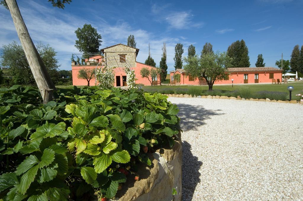 Agriturismo Casale Le Selvette Ripa Exterior foto