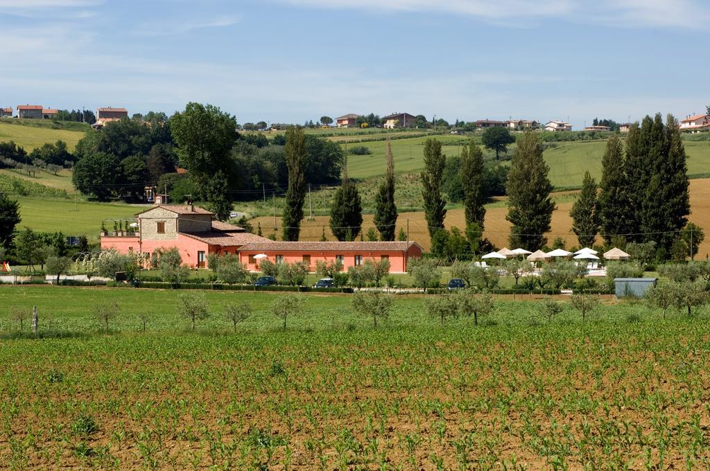 Agriturismo Casale Le Selvette Ripa Exterior foto